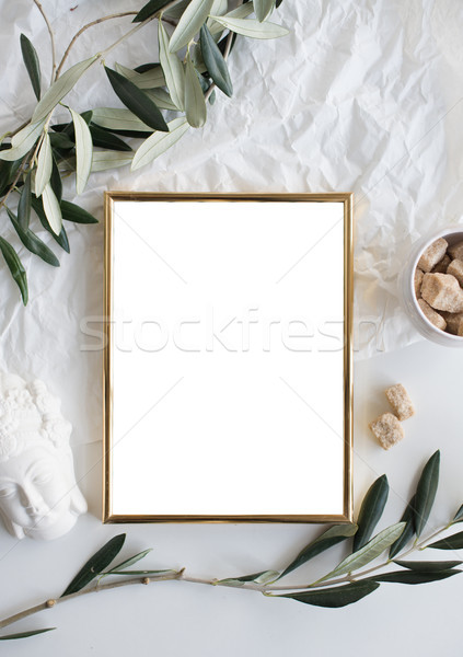 Arany keret vázlat fehér lakberendezés növények Stock fotó © manera