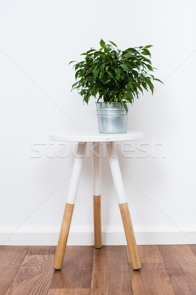 simple decor objects, minimalist white interior Stock photo © manera