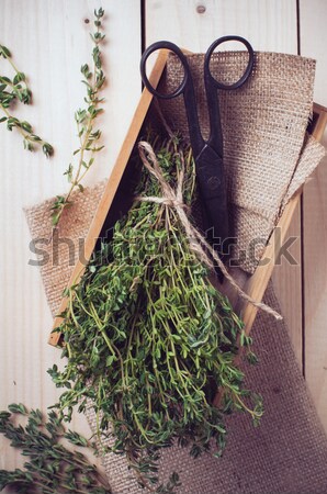 succulents in a wooden box Stock photo © manera