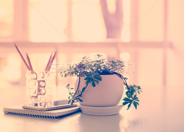 Home plant, business notepad and smartphone in backlight  Stock photo © manera