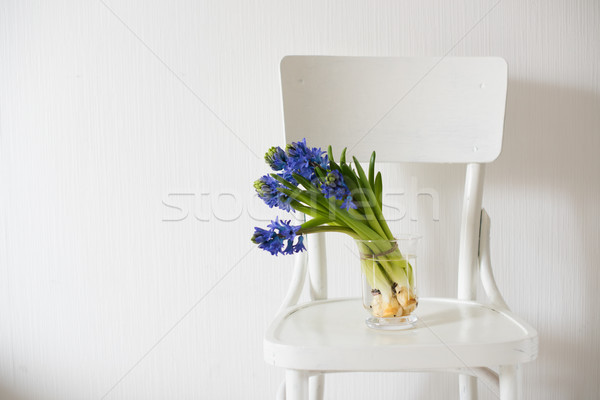 Stockfoto: Blauw · hyacint · vaas · lentebloemen · witte · vintage