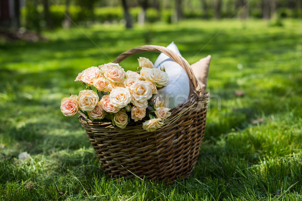 Spring picnic in a park Stock photo © manera