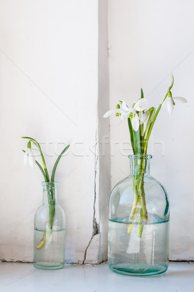 Stockfoto: Lentebloemen · witte · vintage · glas · flessen · oude