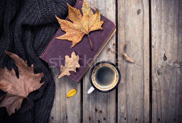 Altes Buch gestrickt Pullover Herbstlaub Kaffeebecher Jahrgang Stock foto © manera