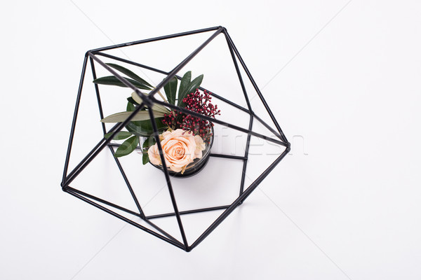 Geometrik modern çiçekler beyaz gül Stok fotoğraf © manera