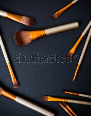 Professional makeup brushes collection, new make-up tools set on Stock photo © manera
