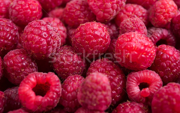 Fresh ripe raspberries macro shot, summer fruit background Stock photo © manera
