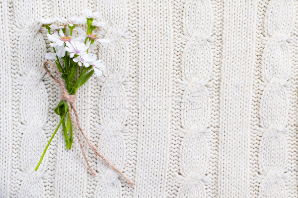 Flores silvestres bege tricotado textura pequeno buquê Foto stock © manera