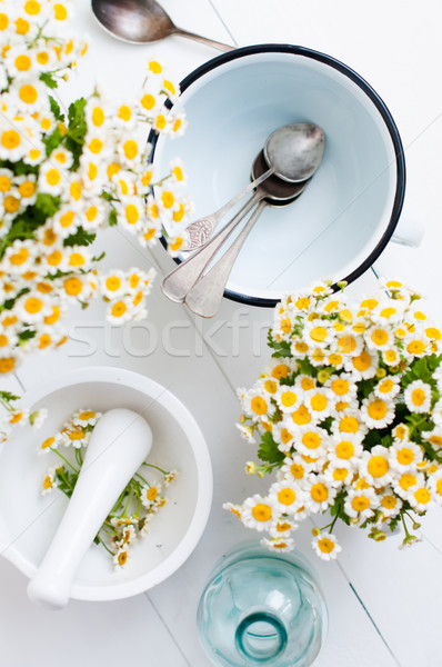 Foto stock: Casa · de · campo · vida · decoração · camomila · flores · branco