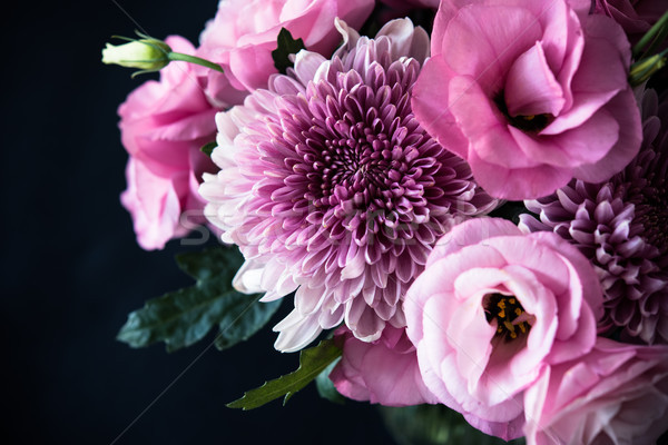 Сток-фото: букет · розовый · цветы · черный · хризантема