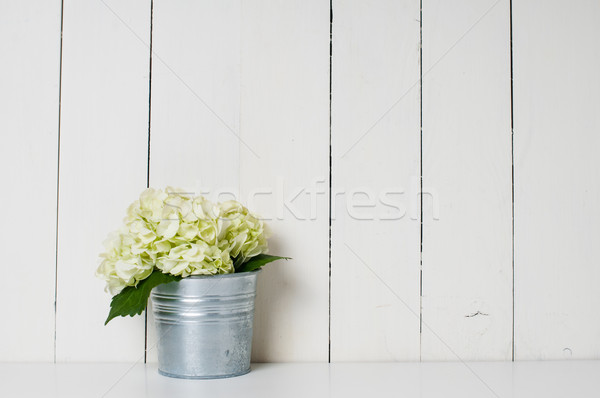 çiçekler beyaz çiçek kalay pot beyaz tahta Stok fotoğraf © manera