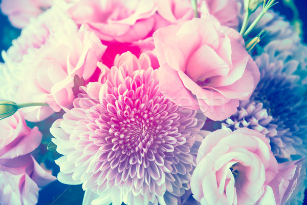 Сток-фото: букет · розовый · цветы · хризантема · элегантный