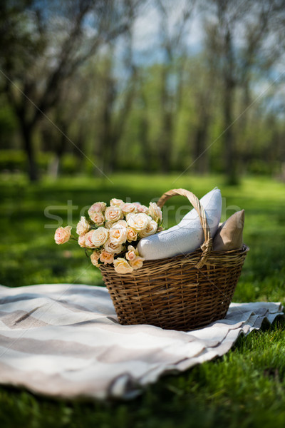 Spring picnic in a park Stock photo © manera