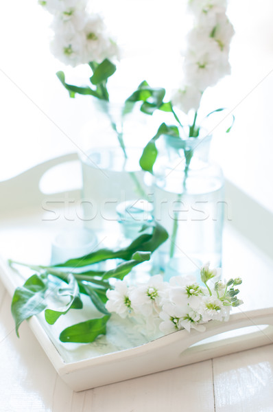 Stockfoto: Bloemen · witte · vintage · glas · flessen · houten