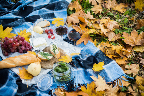 Gezellig najaar picknick park vers brood Stockfoto © manera