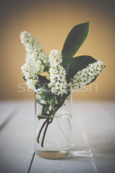 çiçekli şube kuş kiraz cam su Stok fotoğraf © manera