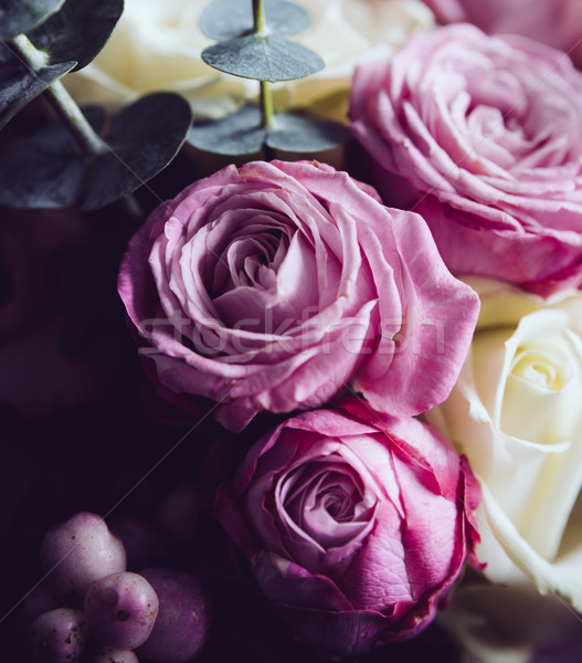 Elegant buchet roz alb trandafiri întuneric Imagine de stoc © manera