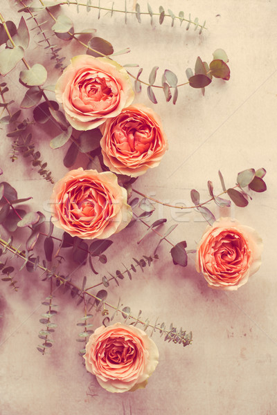 orange roses and decorative branches on white textured backgroun Stock photo © manera