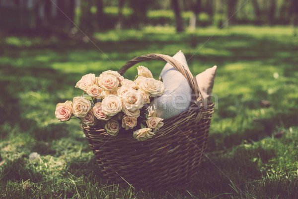 Spring picnic in a park Stock photo © manera