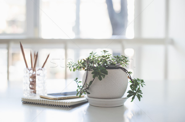 Domu roślin działalności notatnika smartphone podświetlenie Zdjęcia stock © manera