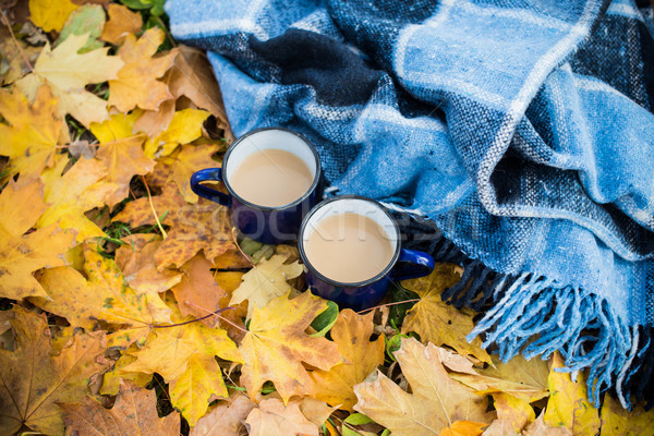Koffie twee glazuur hot park Stockfoto © manera