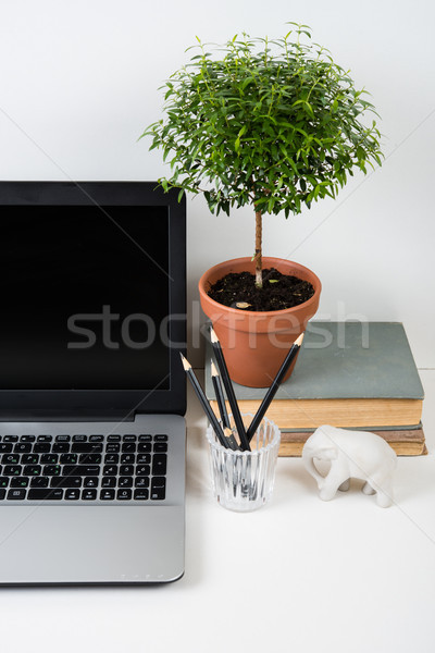 Foto stock: Moderno · trabalhar · espaço · laptop · escritório · objetos