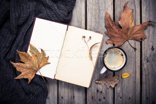 Jahrgang Buch gestrickt Pullover Herbstlaub Kaffeebecher Stock foto © manera