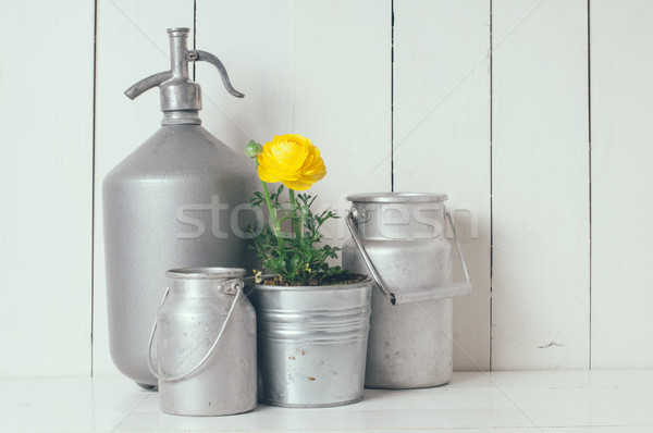 home decor Stock photo © manera