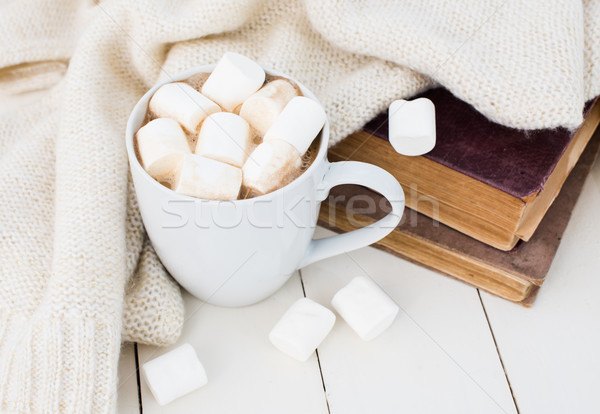 Confortável inverno casa copo quente marshmallow Foto stock © manera