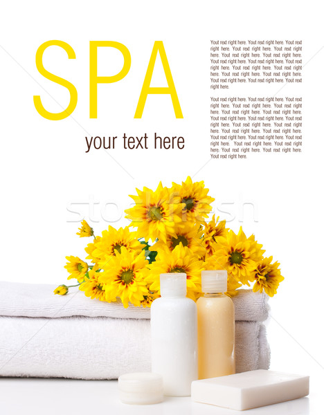 Products for body care and spa template Stock photo © manera