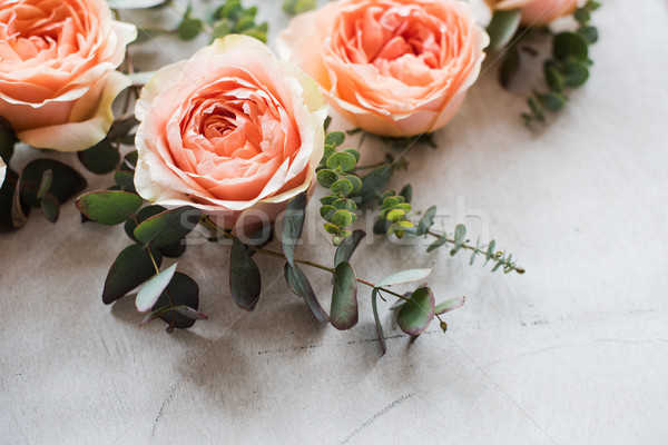 orange roses and decorative branches on white textured backgroun Stock photo © manera