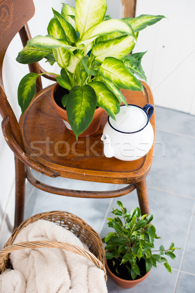 Foto stock: Decoración · verano · balcón · vintage · esmalte · té