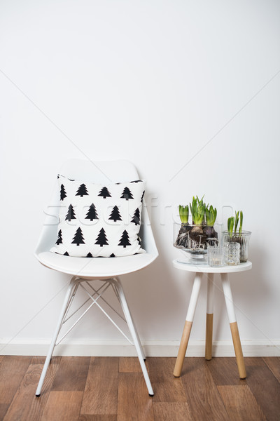 Minimalista bútor fehér tavasz belső közelkép Stock fotó © manera
