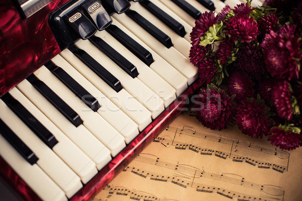 Akordeon klucze starych zauważa bukiet kwiaty Zdjęcia stock © manera