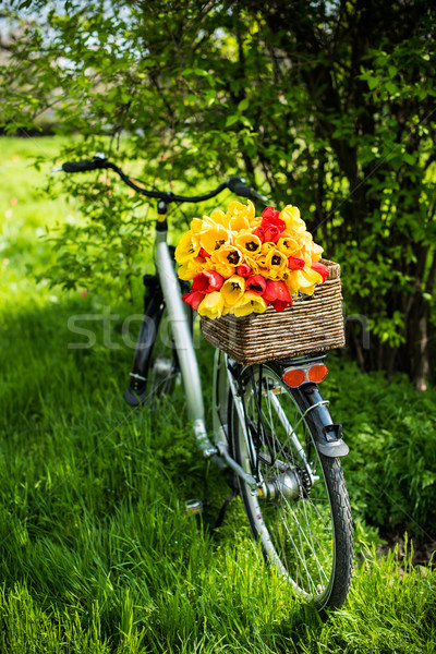 Foto stock: Bicicleta · flores · cidade · buquê · cesta · em · pé