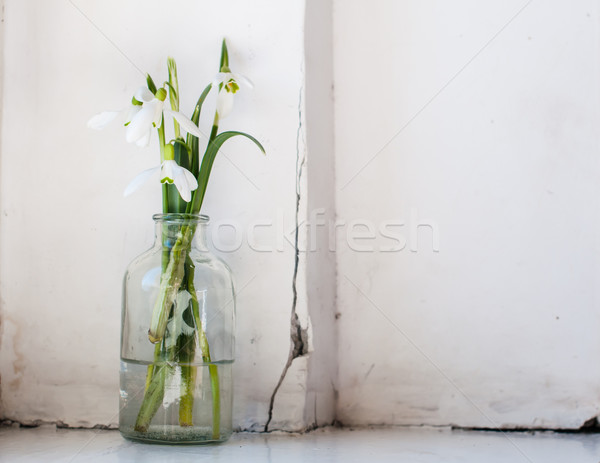 Fiori di primavera bianco vintage vetro bottiglie vecchio Foto d'archivio © manera