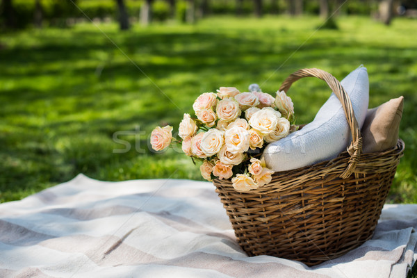 Spring picnic in a park Stock photo © manera