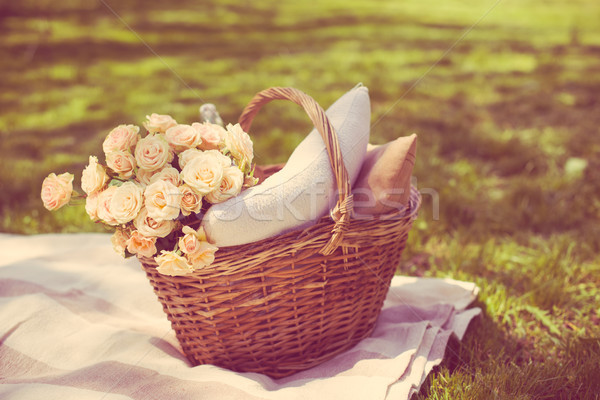 Spring picnic in a park Stock photo © manera