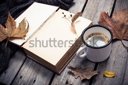 Foto stock: Vintage · libro · de · punto · suéter · hojas · de · otoño · taza · de · café