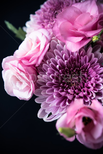 Stock fotó: Virágcsokor · rózsaszín · virágok · közelkép · fekete · krizantém
