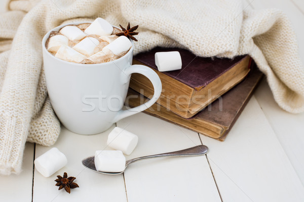 Invierno casa taza caliente malvavisco Foto stock © manera