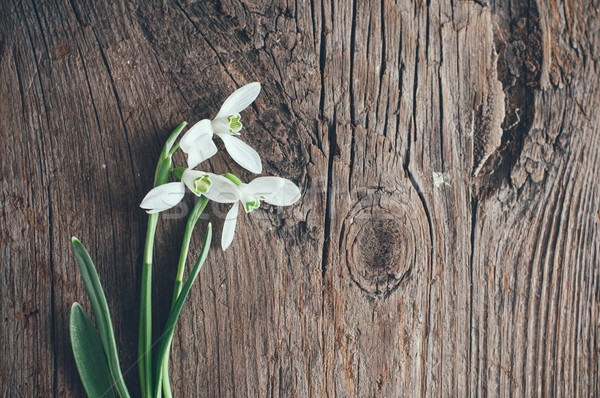 Stok fotoğraf: Buket · bahar · çiçekleri · eski · ahşap · tahta
