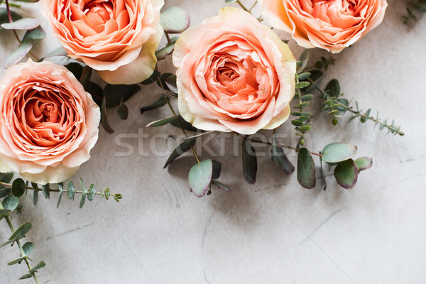 orange roses and decorative branches on white textured backgroun Stock photo © manera