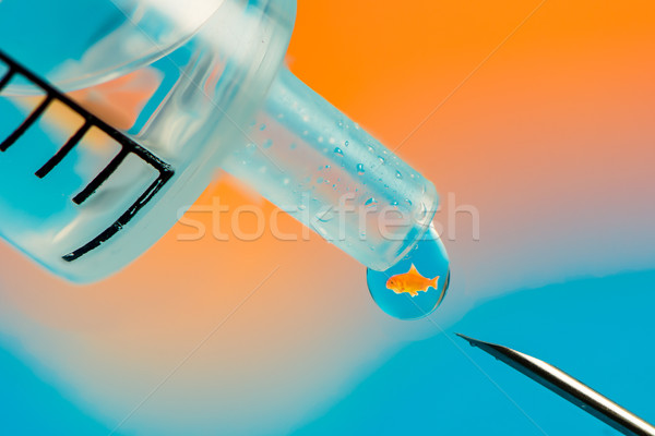 Goldfisch refraction in a drop from a syringe Stock photo © manfredxy