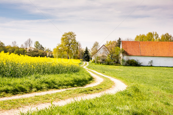 Foto stock: Camino · rural · granja · violación · campo · paisaje