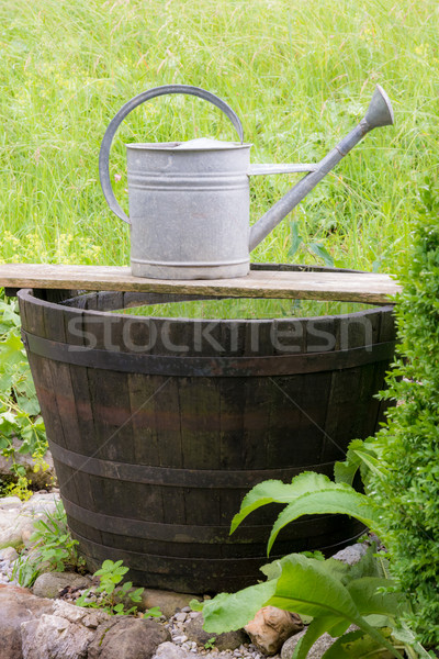 Vintage watering can Stock photo © manfredxy
