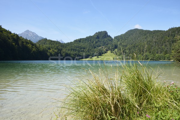 Alpine Lake Stock photo © manfredxy