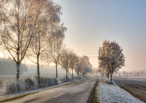 Country road in a winter landscape with frosted trees Stock photo © manfredxy