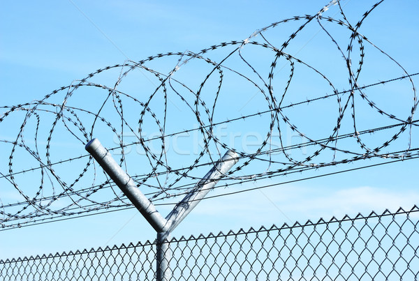 Filo spinato cielo blu metal sicurezza recinzione carcere Foto d'archivio © manfredxy