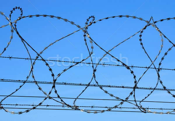 Barbed wire Stock photo © manfredxy